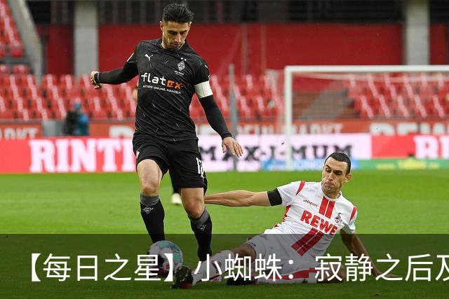 【每日之星】小蜘蛛：寂静之后及时归来 关键时刻轰世界波