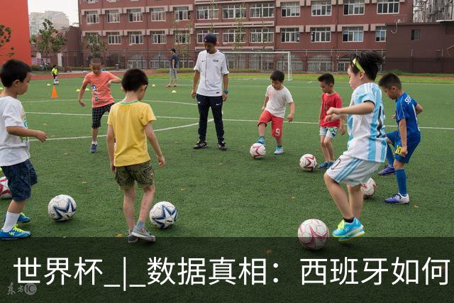 世界杯 | 数据真相：西班牙如何“技术性击倒”法国
