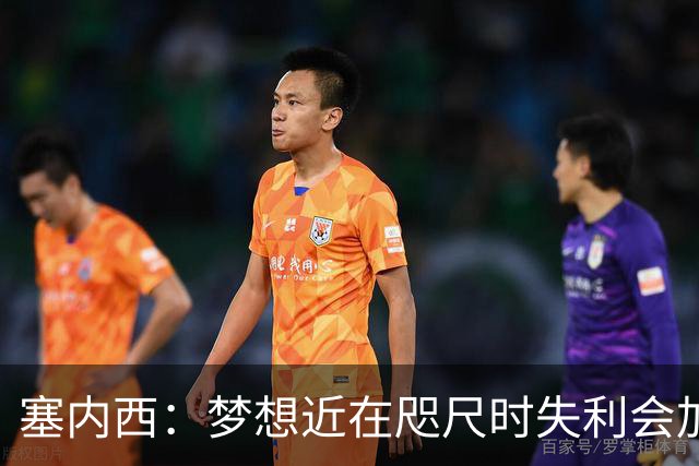 塞内西：梦想近在咫尺时失利会加倍刺痛，我们会重新站起来