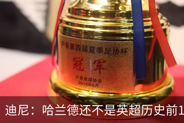 迪尼：哈兰德还不是英超历史前10前锋，新赛季看他对抗加布很有趣